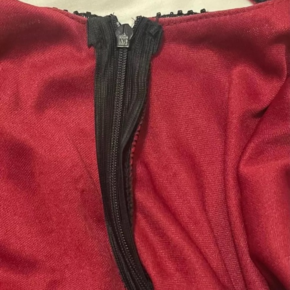 Vampy Gothic Maxi Dress- Black Mesh and Sequins over Red lining w/ Tassels LARGE - Picture 9 of 14